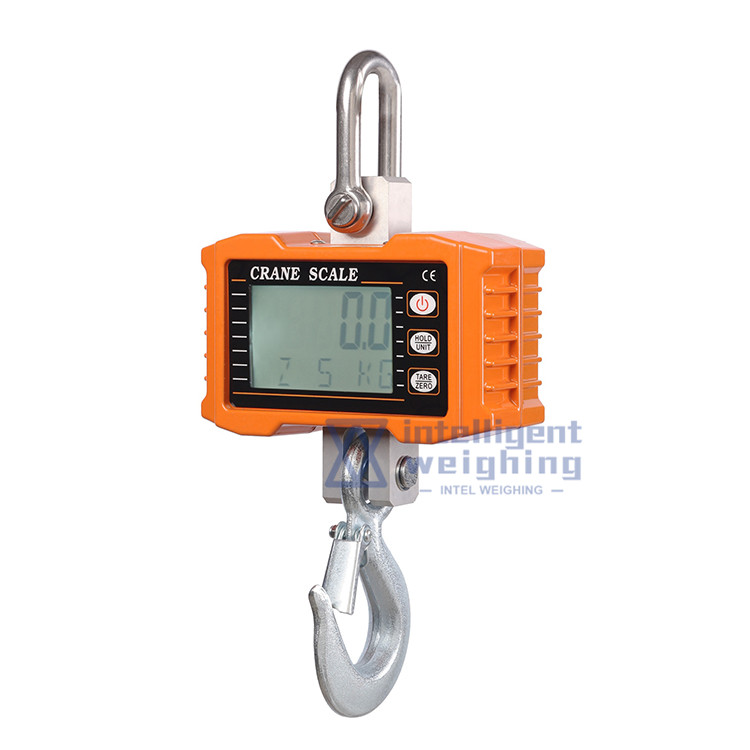 300kg 500kg 1000kg crane scale